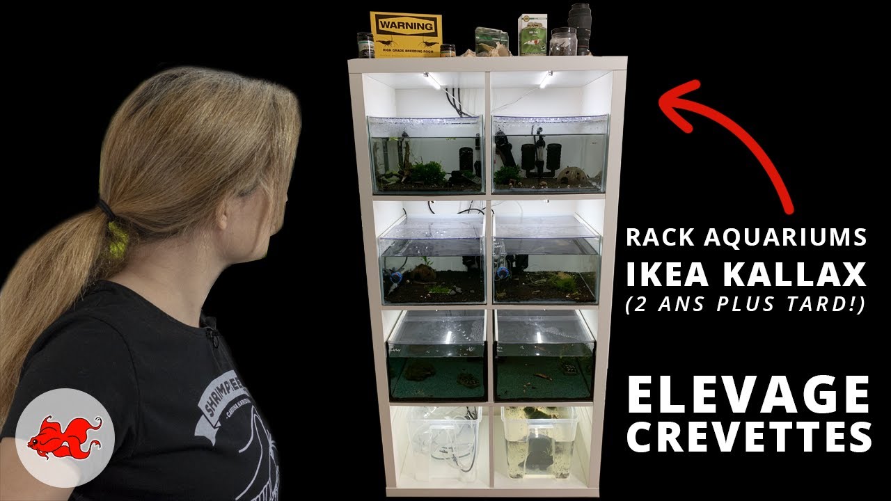 Mon rack à crevettes Kallax