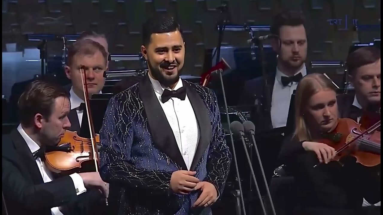 Largo al factotum - Grisha Martirosyan.                  Il Barbiere di Siviglia (Rossini)