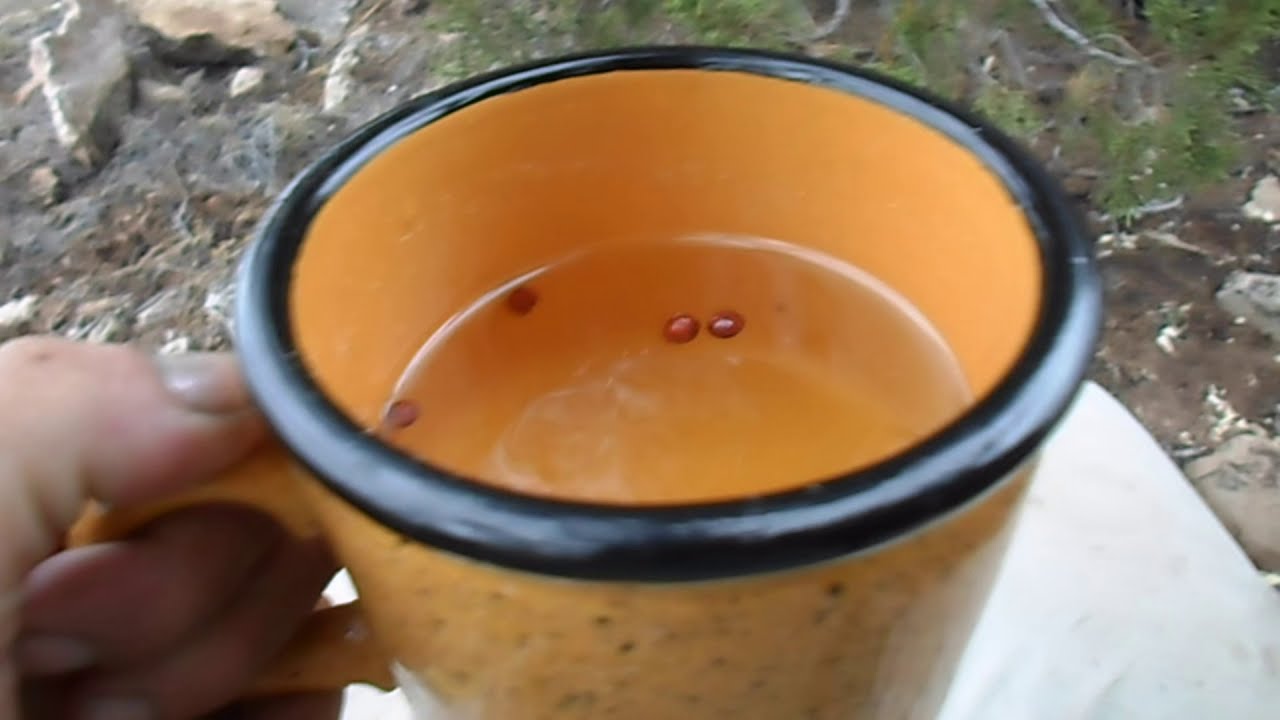 One-Seed Juniper Tea