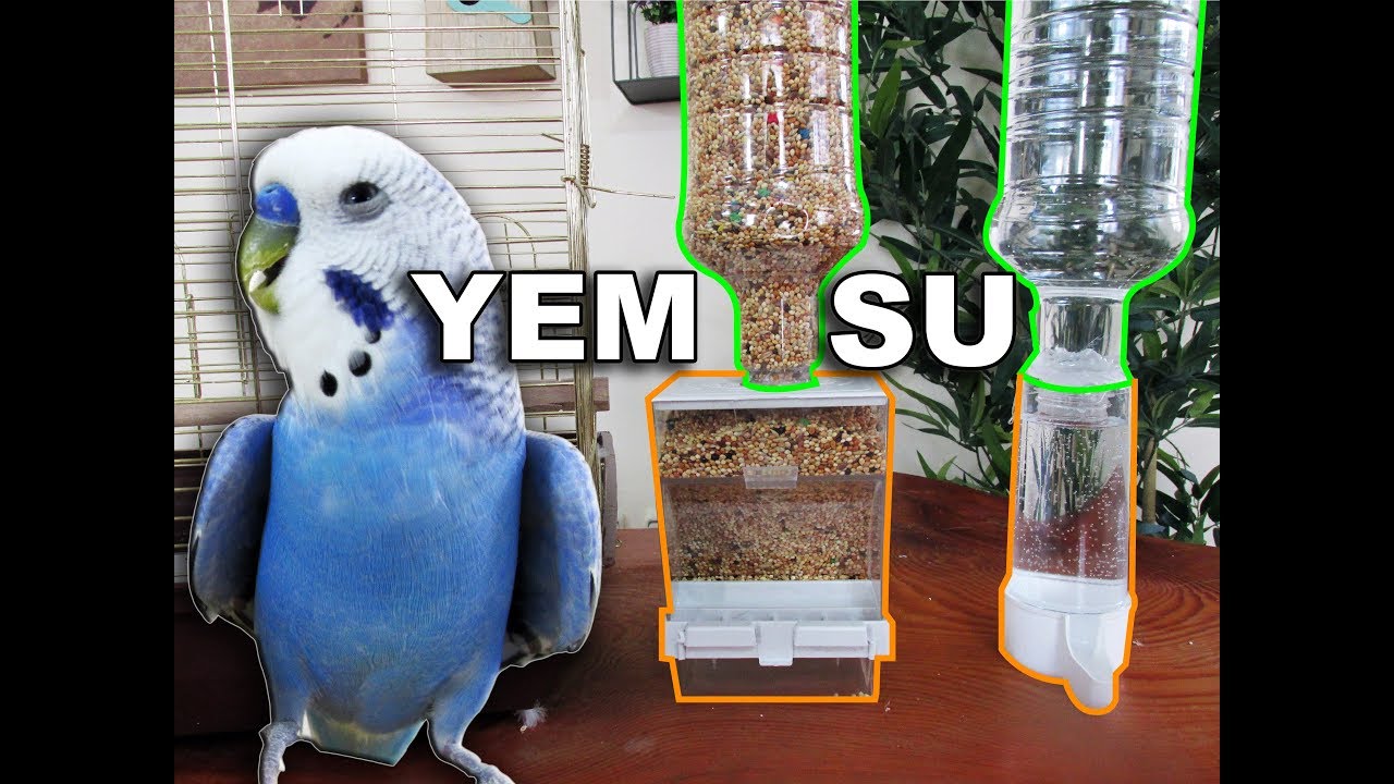Tatilde Kuşlarınız Aç ve Susuz Kalmasın