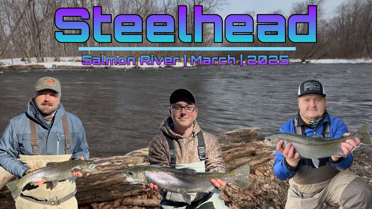 Steelhead | Salmon River | March 2025