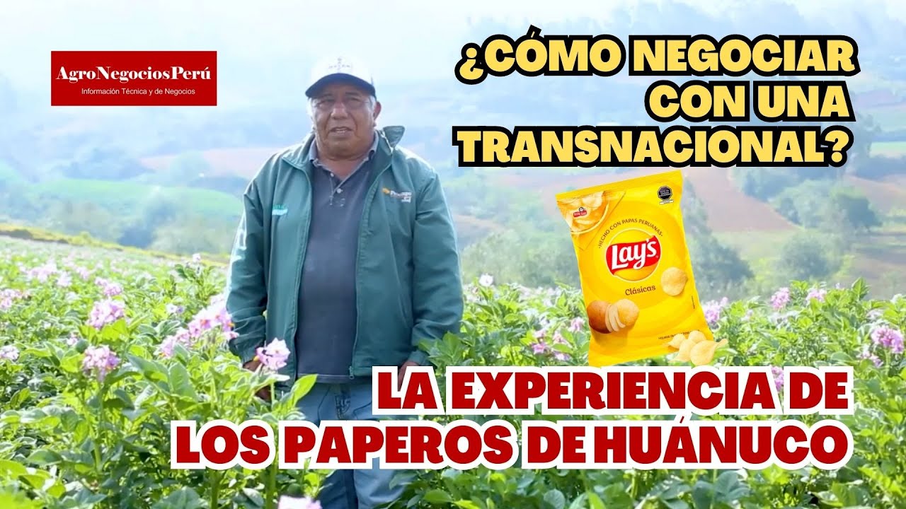 La exitosa negociación entre productores de papa de Huánuco y una transnacional de los snacks