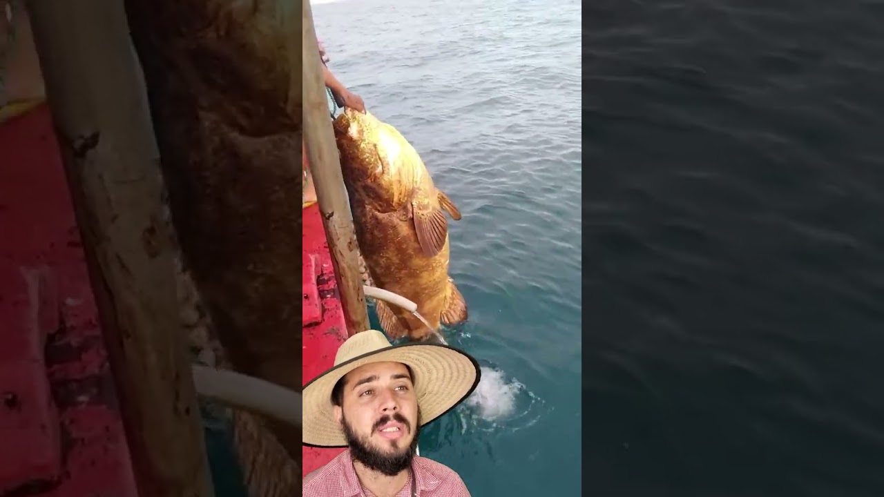 Pesca de Mero/Garoupa e a Bexiga Natat&oacute;ria exposta