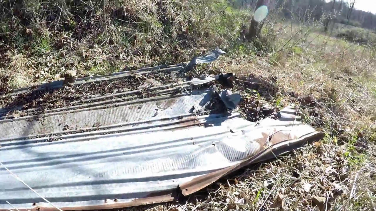 Flipping for Snakes in West Virginia