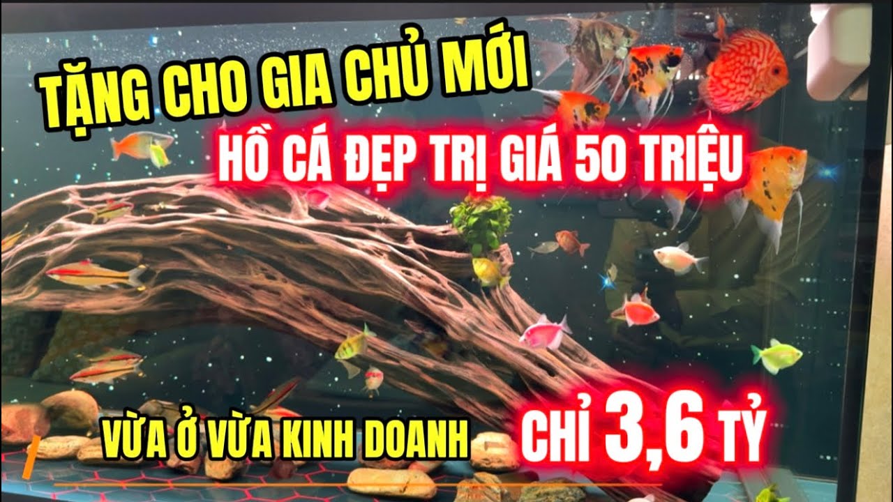 🔥Bán Shophouse Nha Trang Sổ Hồng Sẵn | Vừa Ở Vừa Kinh Doanh Thuận Lợi | Giá Rẻ Chỉ 3,6 Tỷ