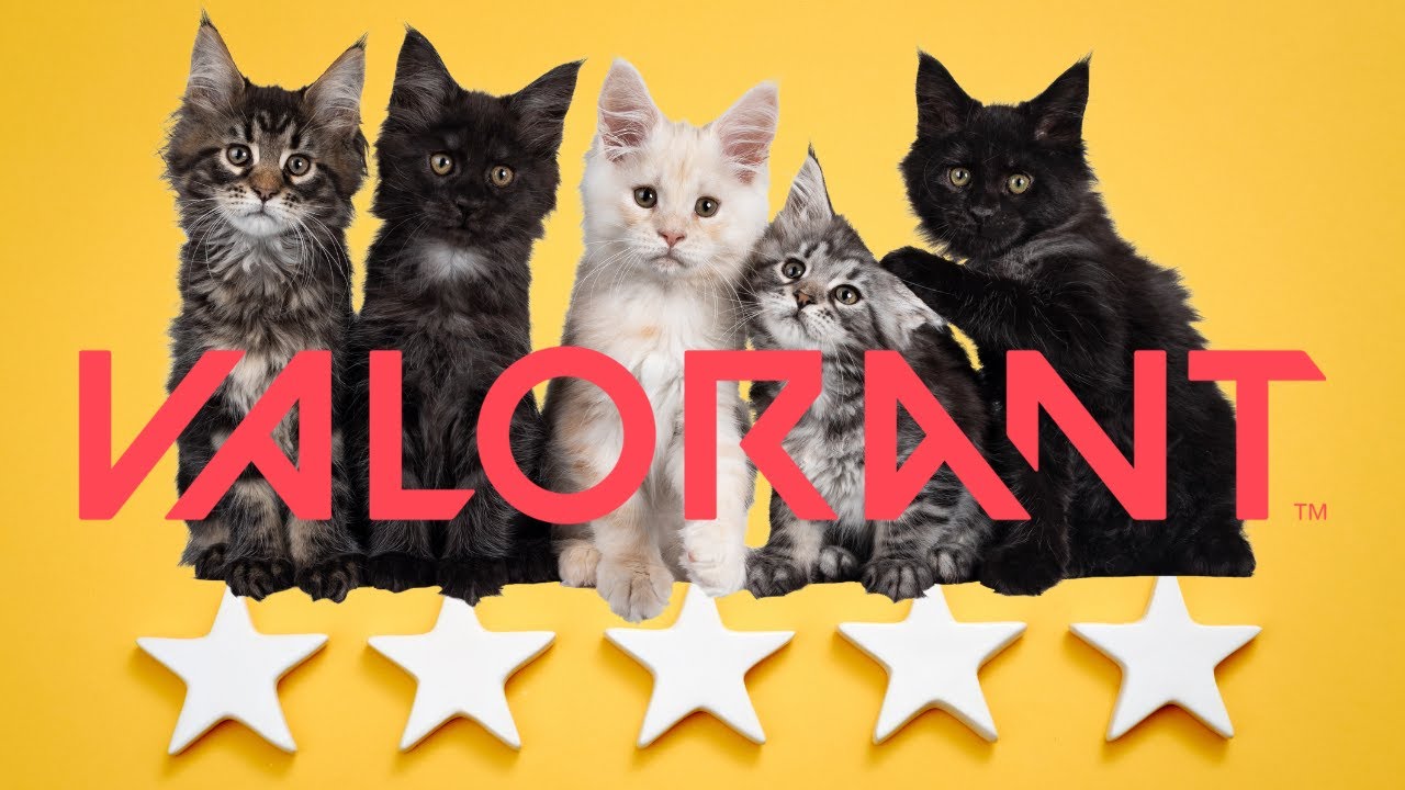【VALORANT】謎メンバー  / アステル 奏手イヅル 白那しずく³ いといとい³ 青桐エイト³