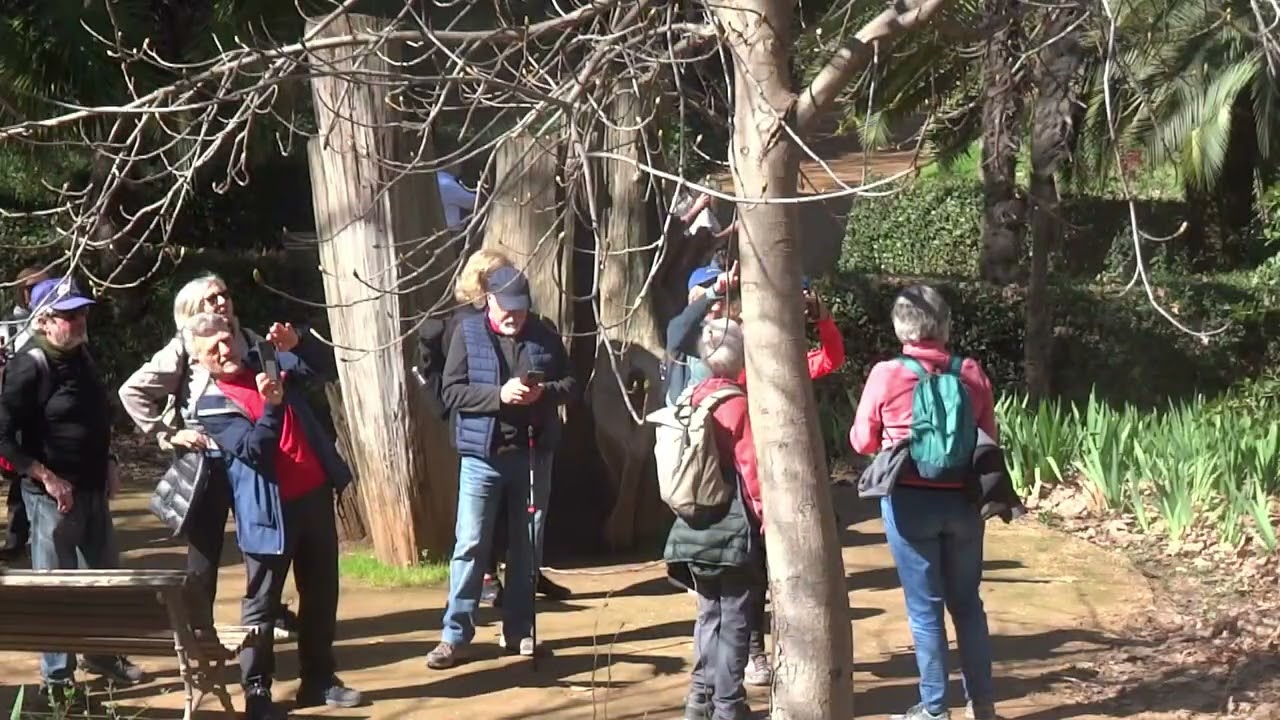 PRIMER PASEO POR LA NATURALEZA COMPAÑEROS DE ENFERMERIA  17 MARZO 2026