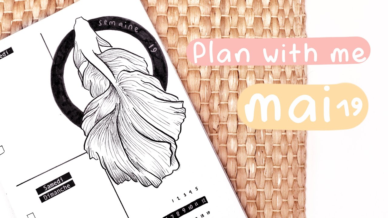 MAI 2019 plan with me - Bullet journal FRANCAIS (betafish theme)