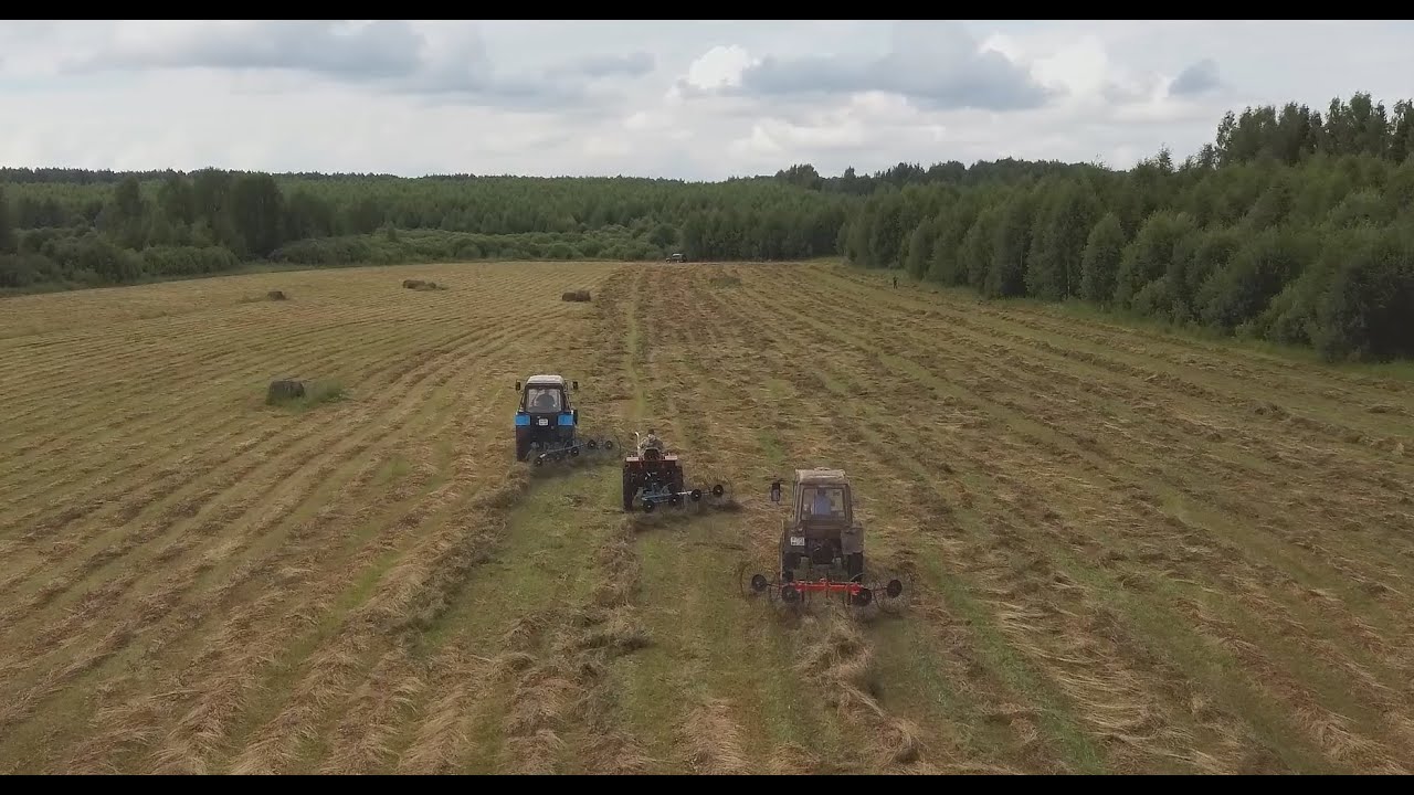 Грабли ворошилки Лидер Палехагромаш