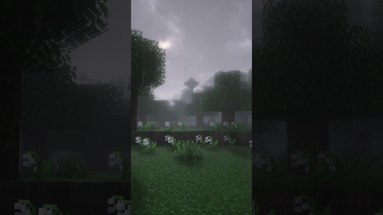 Cozy Rain in Minecraft 🌧️🌲 (C418 Vibes) 