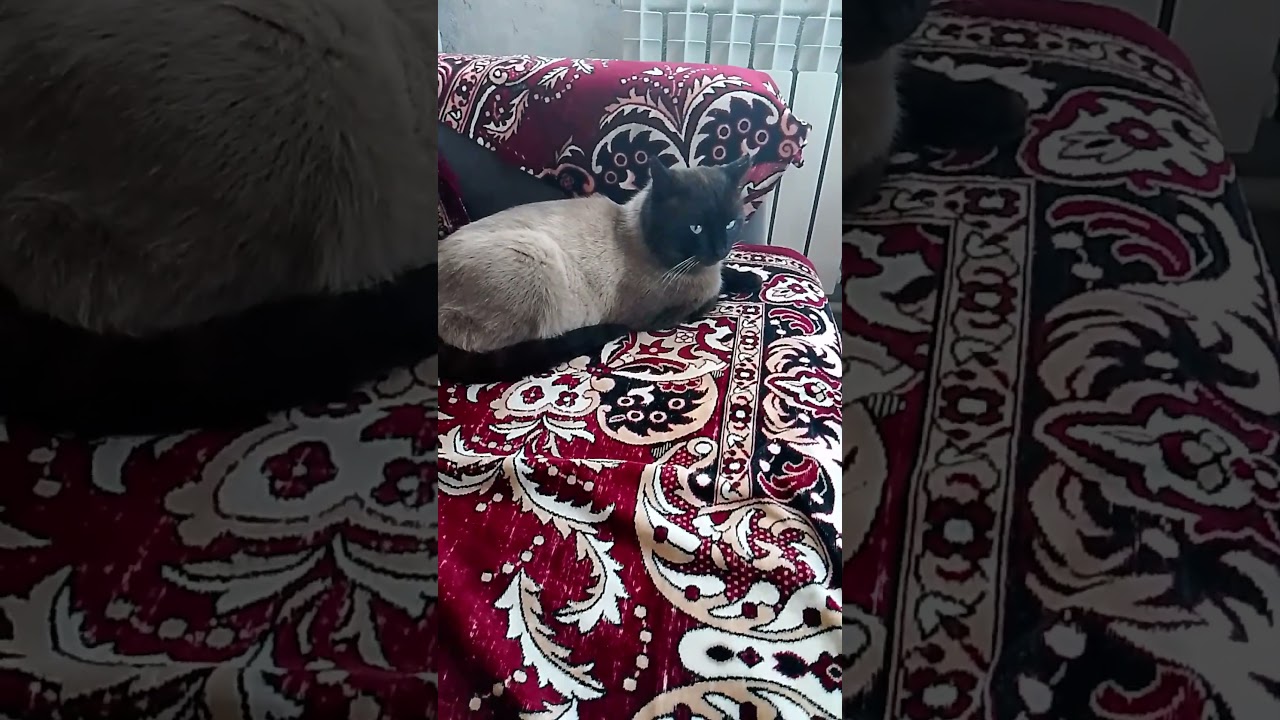 #новаяжизнь