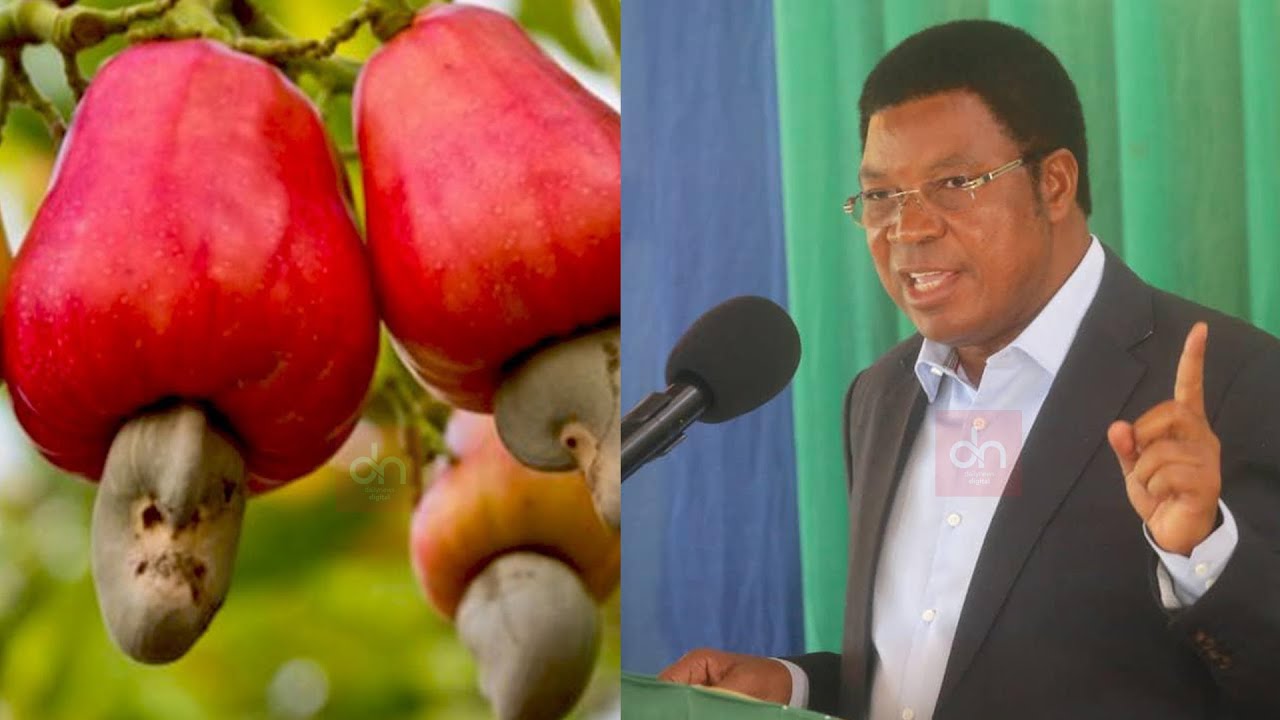 Alichokisema Waziri Mkuu kuhusu Korosho za Mtwara, Lindi na Ruvuma