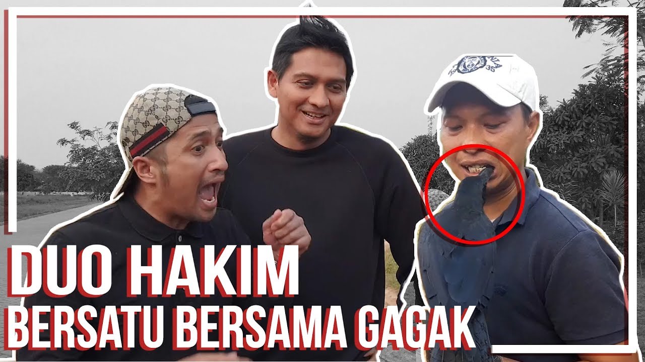 BURUNG GAGAKNYA KABUR...!!  feat Lucky Hakim