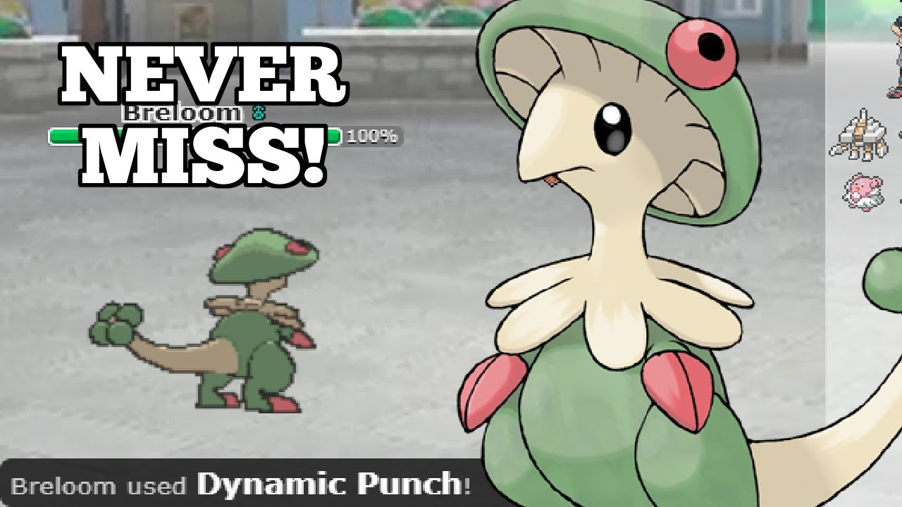 No Guard Dynamic Punch Breloom is ACTUALLY LEGIT in Almost Any Ability