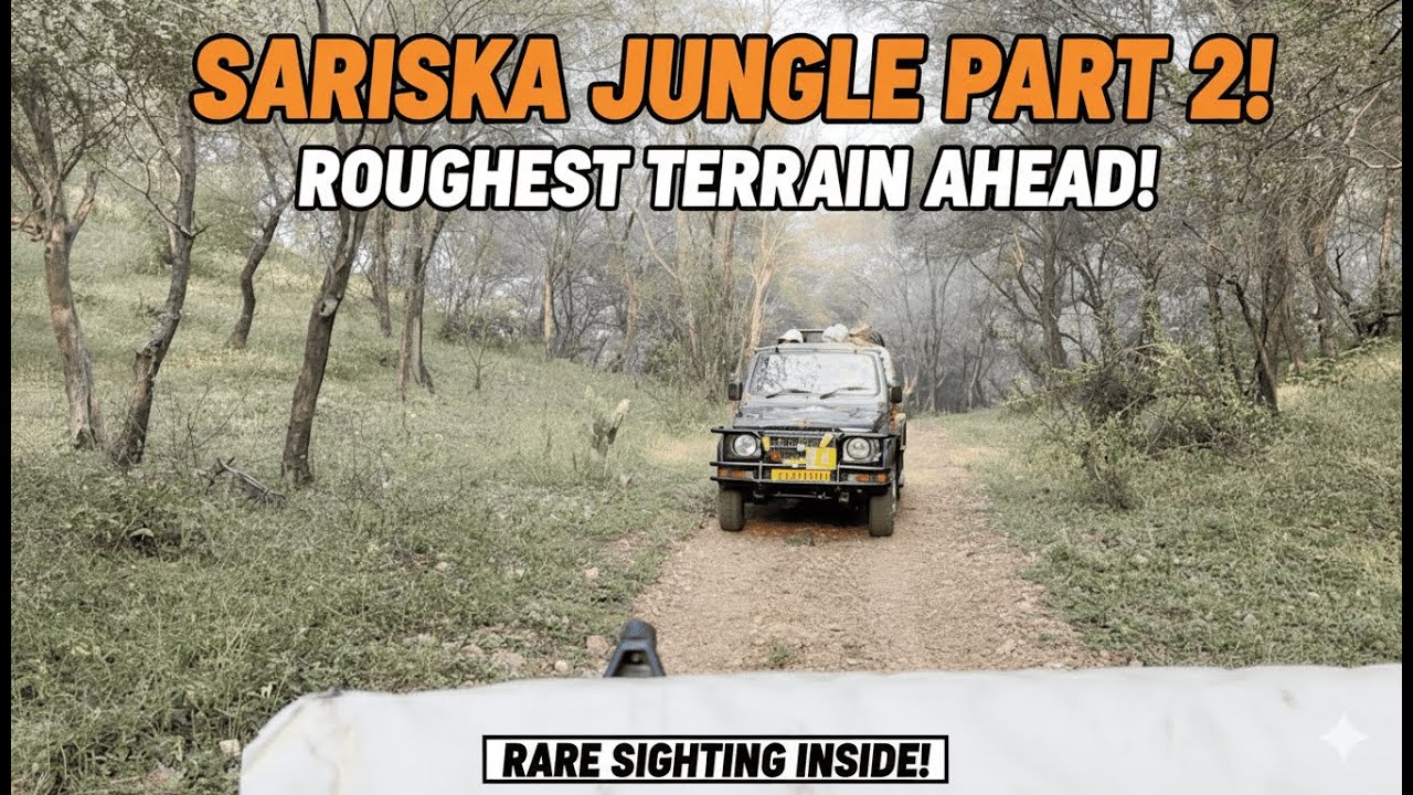 DEEP Into Sariska (Part 2): RARE Wildlife & Roughest Aravalli Roads!