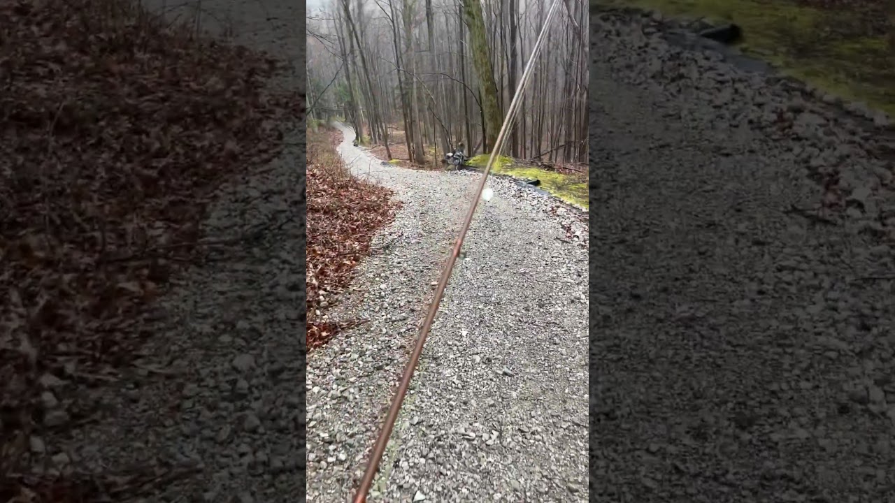 How to catch steelhead using a fly rod in Ohio! #fishing #steelhead #fish #flyfishing #fishing