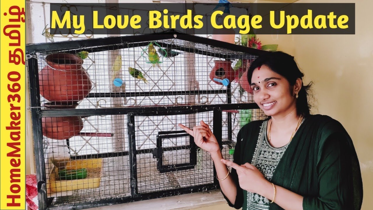 My Love Birds Updates | Love Birds Cage setup in Tamil | Love Birds Cage Setup Ideas