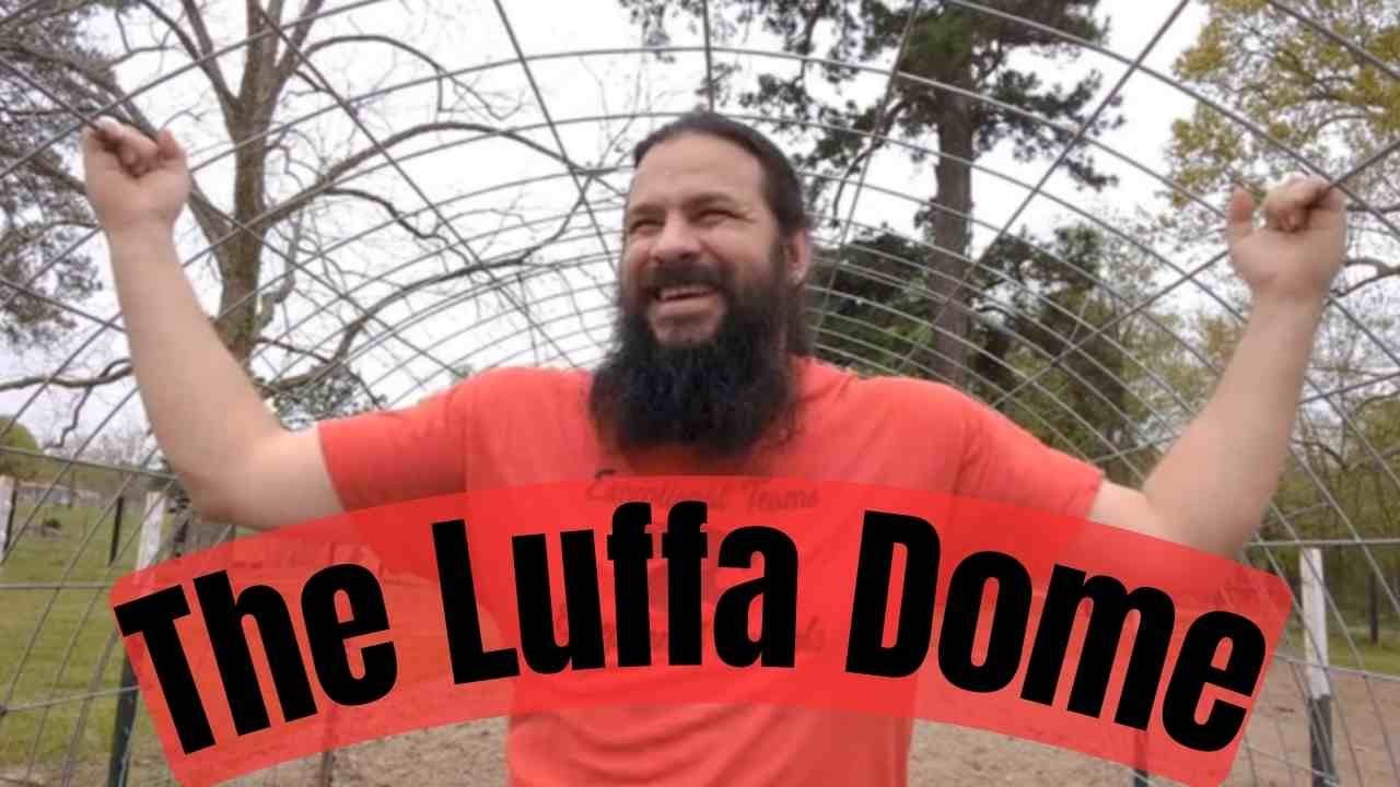 Building The Tunnel and Trellis | Aka... The Luffa Dome