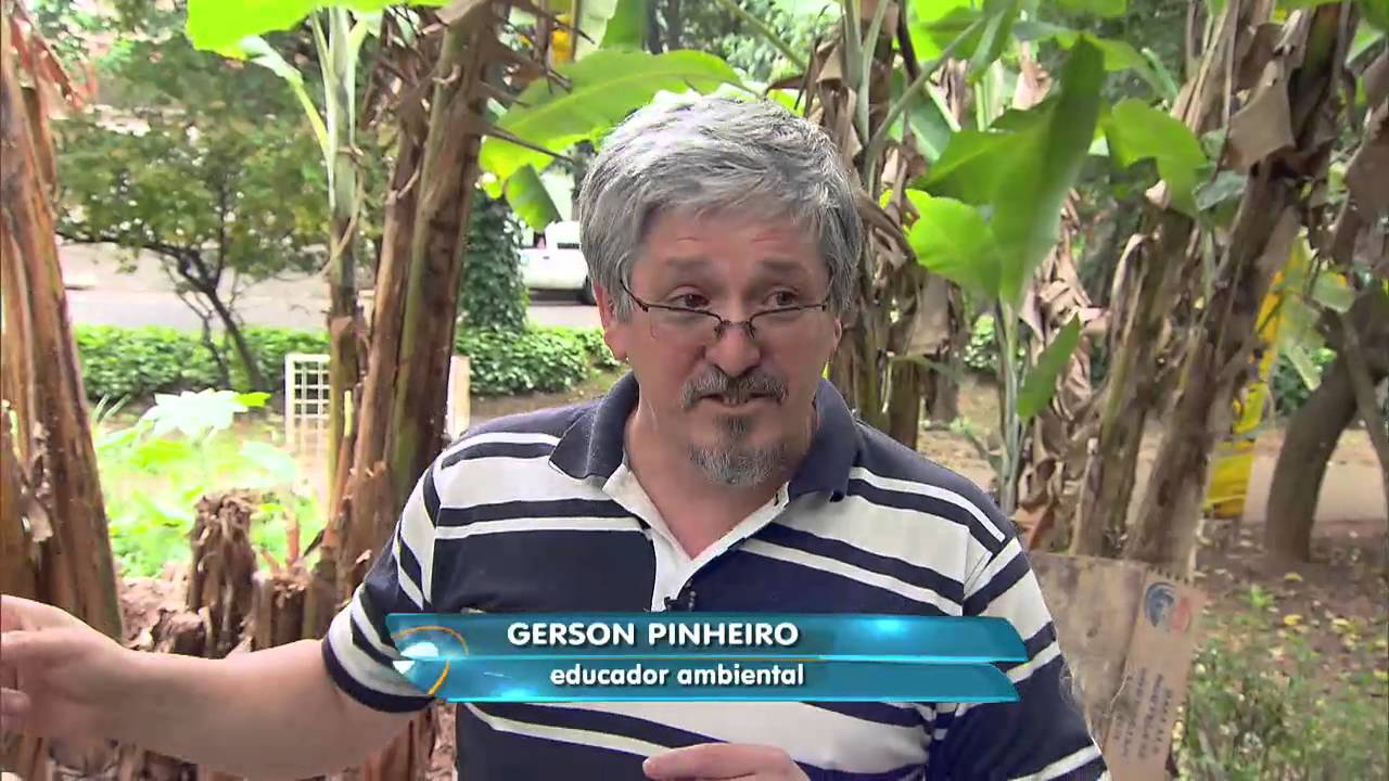 Homem cria abelha em casa como animais de estimação