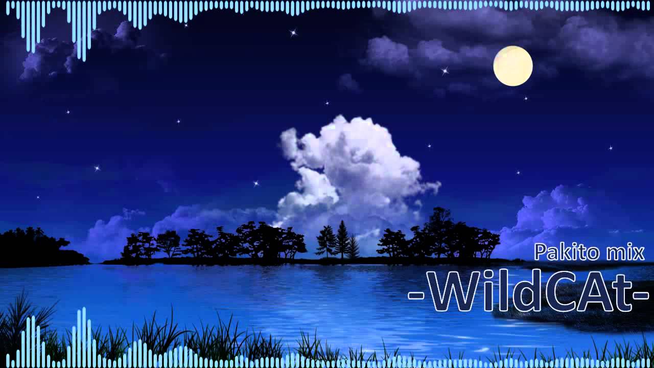 Pakito Mix | Classic Pakito Tracks (WildCAt)