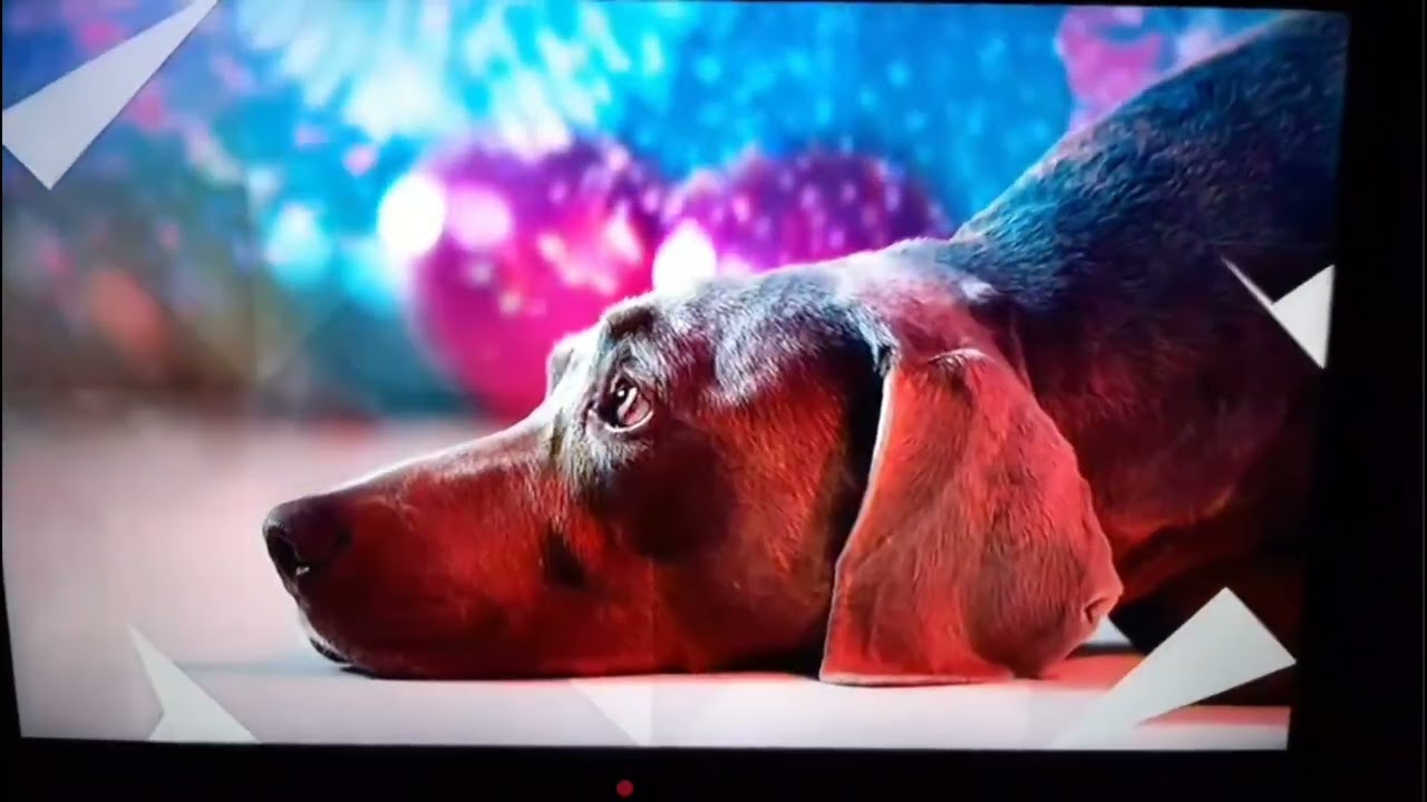 (Przeczytaj credity w opisie) TVP HD - Oprawa graficzna (2013-2024)