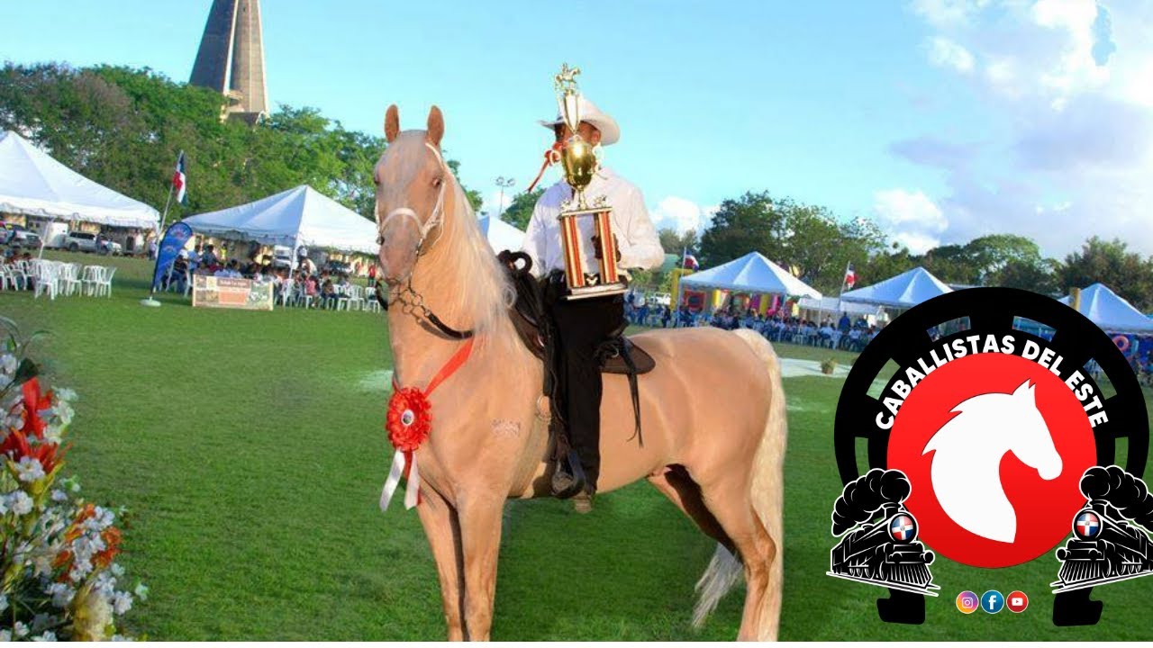 LA HISTORIA DEL CABALLO DE PASO HIGUEYANO (REPUBLICA DOMINICANA)