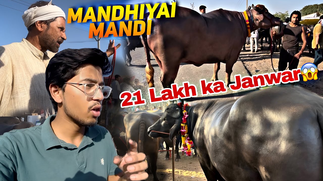 21 Lakh ka Jaanwar Madhiyai me 😱 or kya soda hogya ?