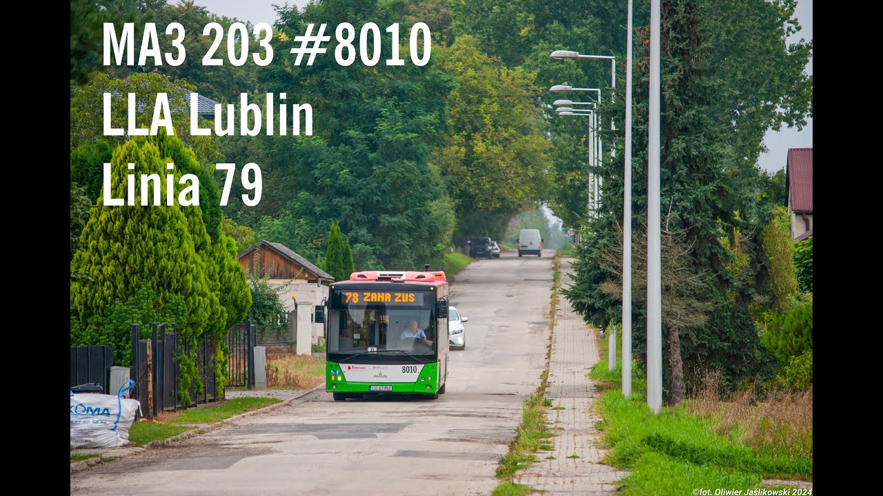 МАЗ / MAZ 203 069 ZF #8010 linia 79 LLA Lublin