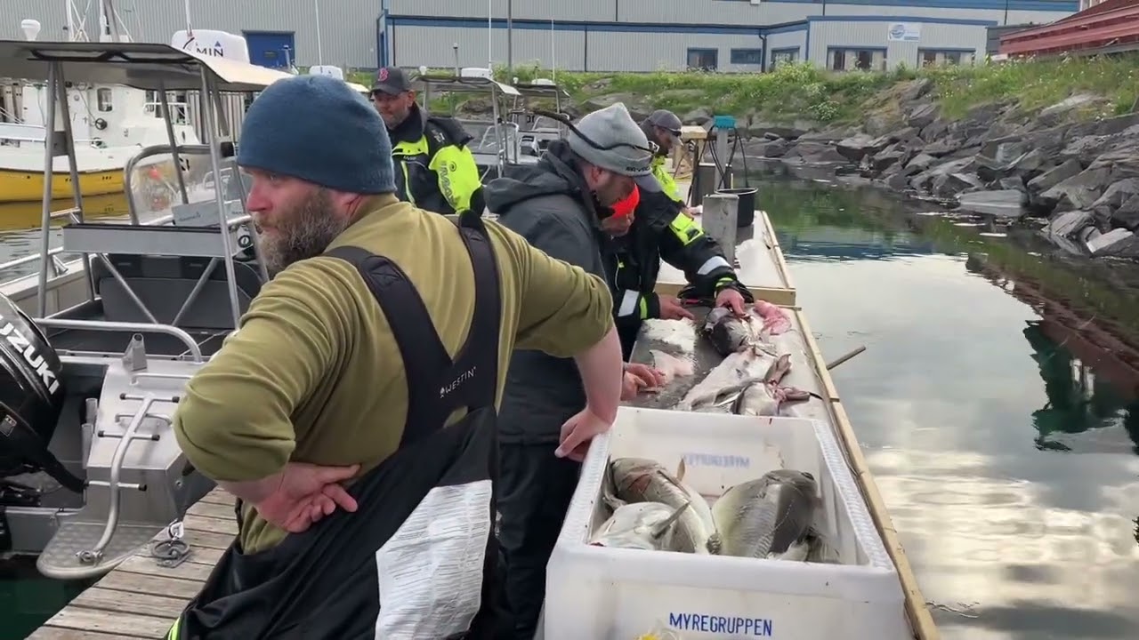 Havöysund Juli 2022