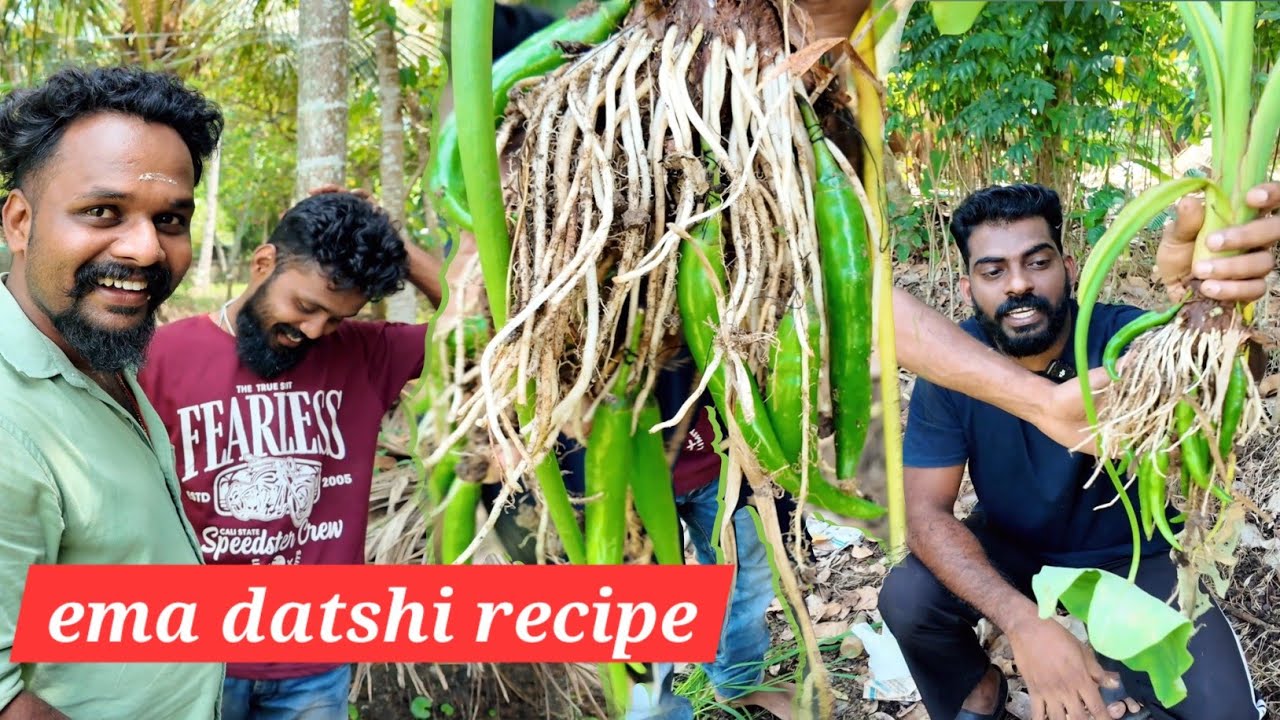 പച്ച മുളക് പറിച്ചെടുത് കിടിലൻ ഐറ്റം | ema datshi recipe #food #youtube 