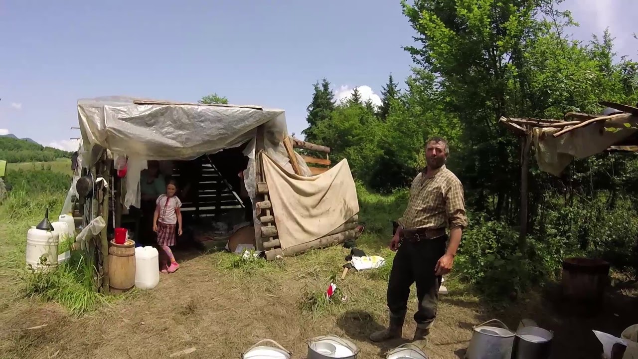 TRADIȚII PĂSTOREȘTI ÎN BISTRIȚA-NĂSĂUD