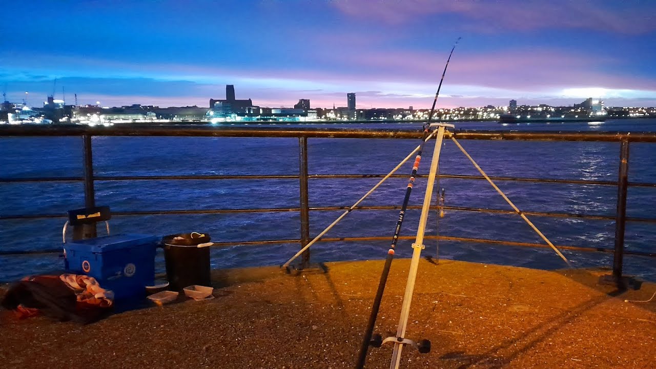Fishing River Mersey | cod fishing | sea fishing UK fishing with a friend #codfish #seafoods