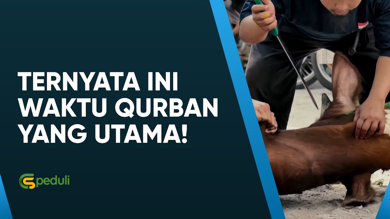 Tata Cara Qurban: Waktu Pelaksanaan Qurban Idul Adha yang Utama (2020)