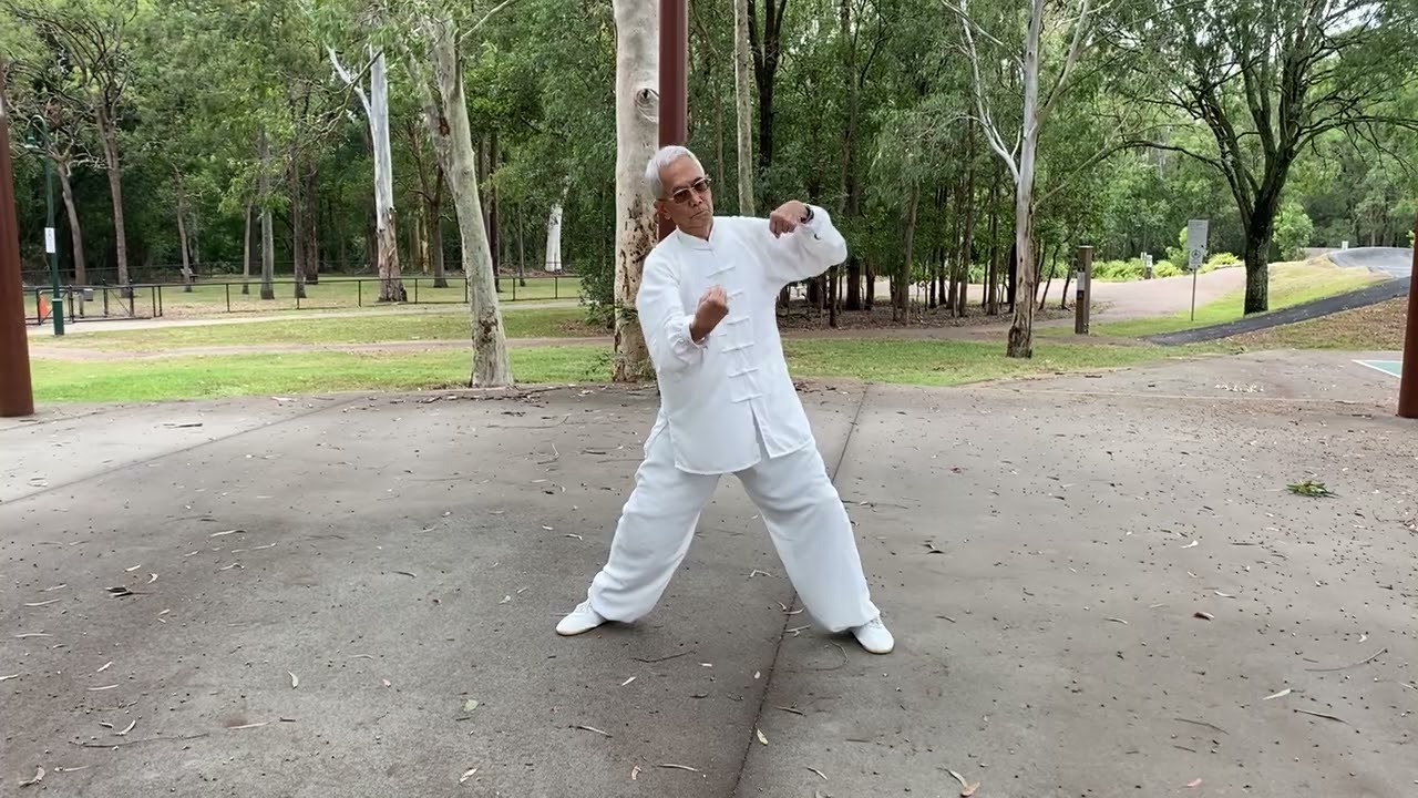 陈氏马虹拳法精编30式Chen’s Taichi (Mahong Style) Part of Form 1 Shifu Lin(林峰演练） Demonstrate 