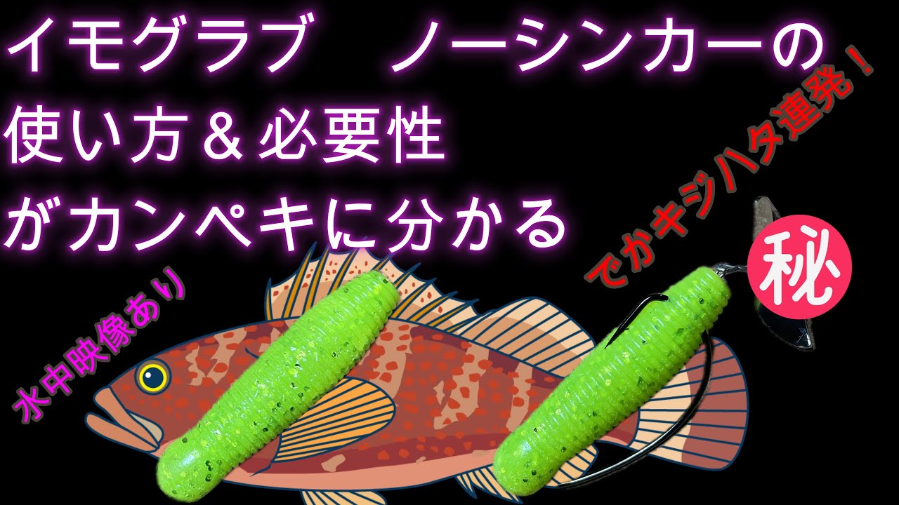 根魚爆釣！イモグラブ ノーシンカーの使い方と必要性がカンペキに分かる動画　次のステージの入口【イモスイッシャー】キジハタ（アコウ）最終兵器