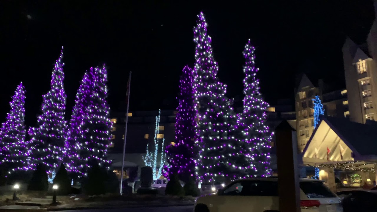 Whistler Christmas lights