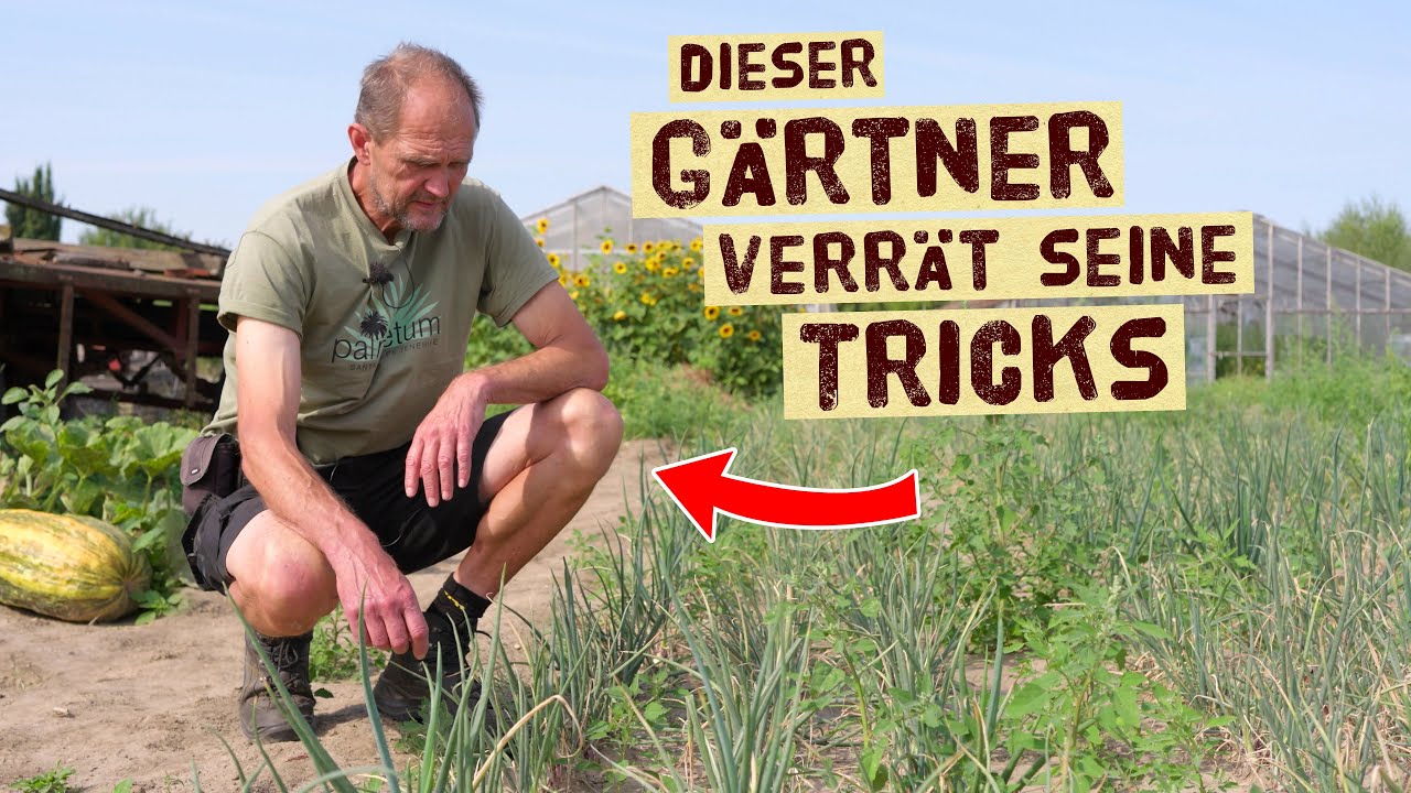 Ein Profi-Gärtner verrät seine besten Tipps – Einblicke in die Gärtnerei & Gemüsegarten