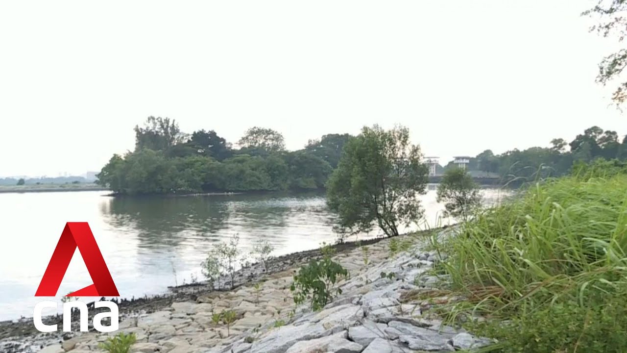 NParks to establish new nature corridor in Khatib, joining up existing green spaces with new parks