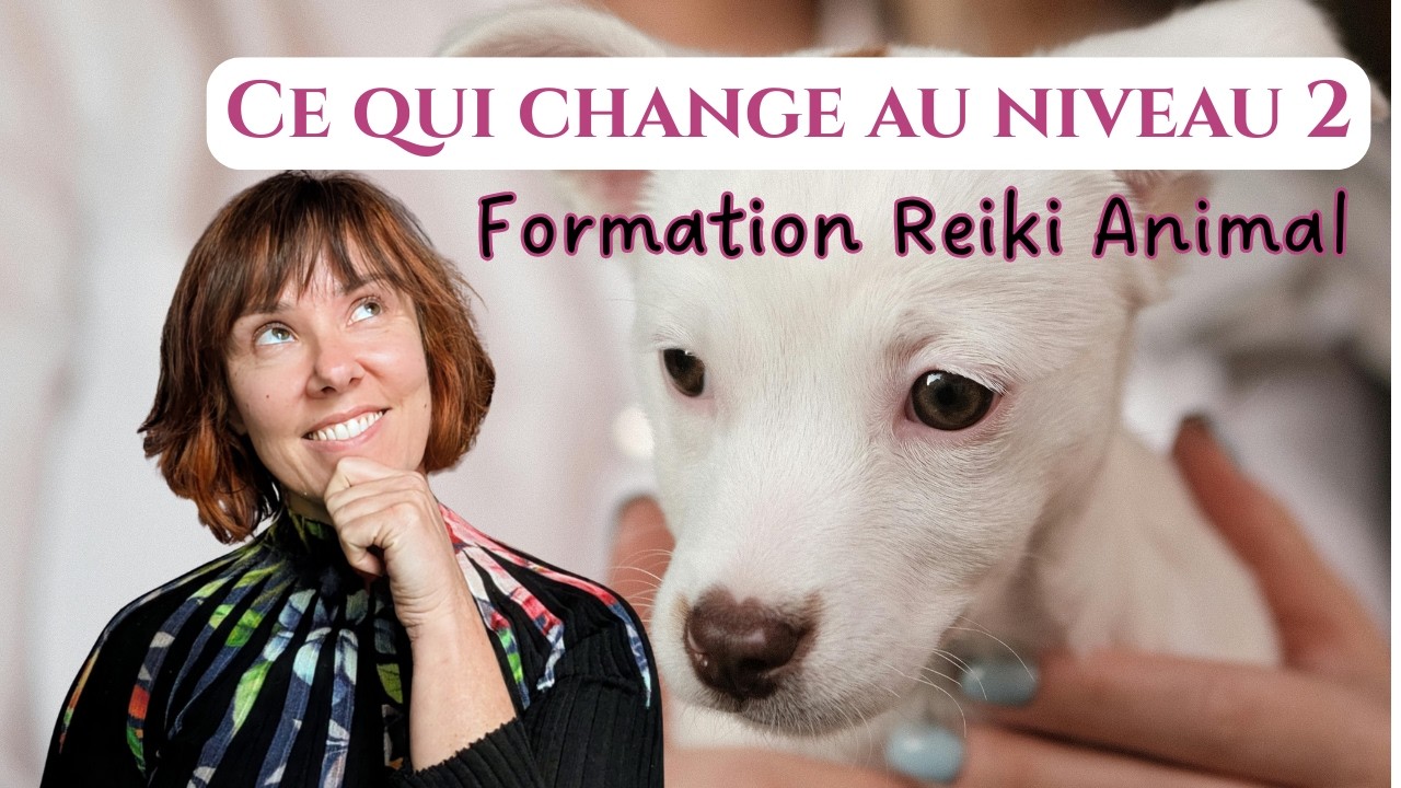 Formation Reiki animal niveau 2 : comment savoir si tu es prête ?
