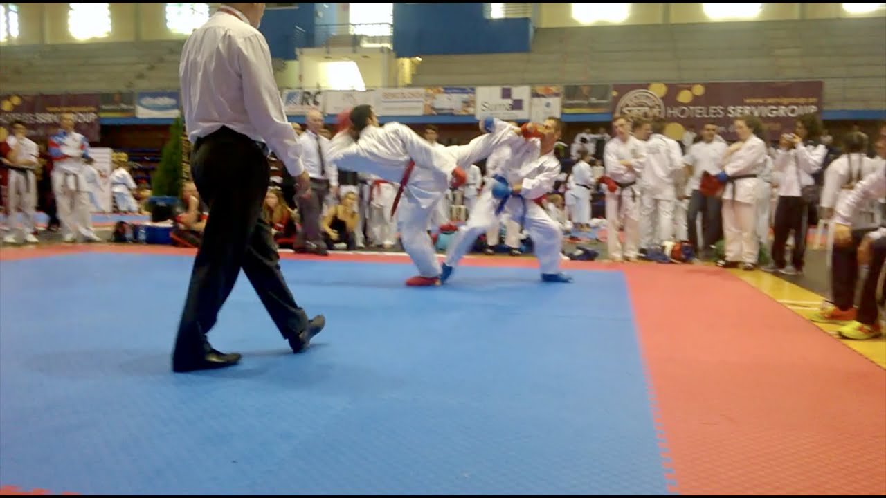 Final male kumite -65 kg. World Karate Championship WTKA e WKA 2015