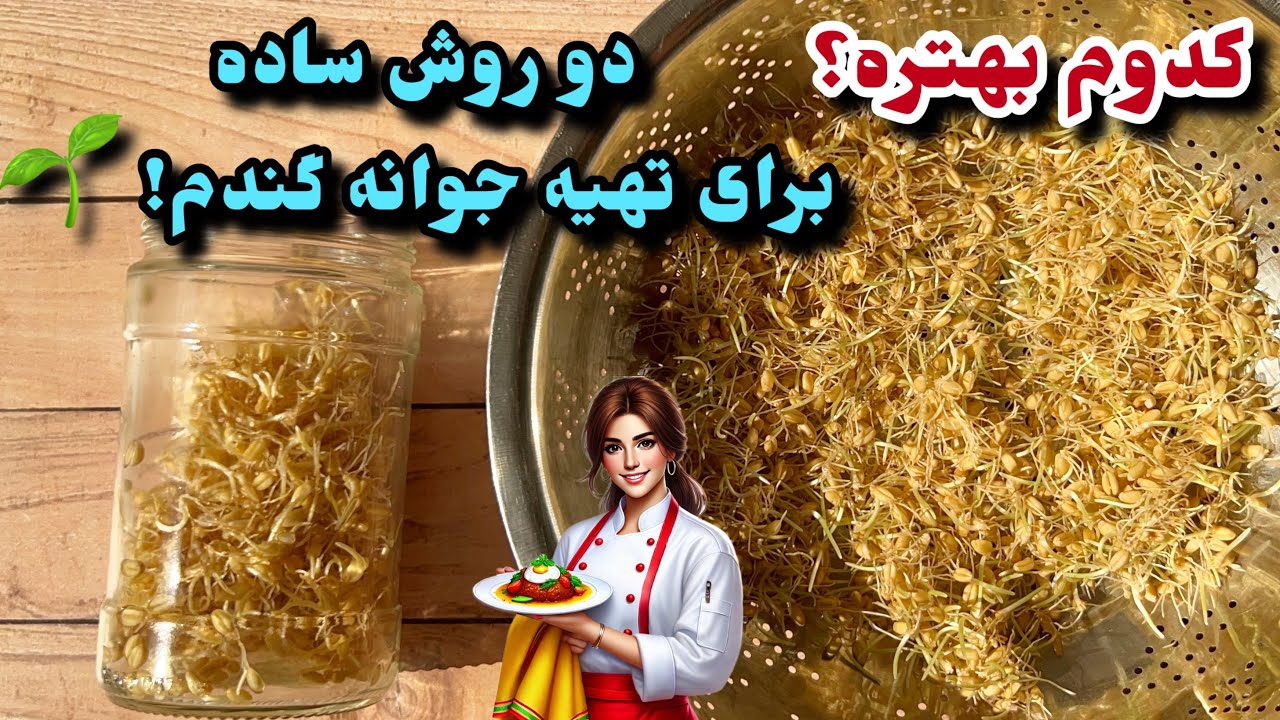 خواص شگفت‌انگیز جوانه گندم و پودر آن برای سلامتی و زیبایی💚🌱 Wheat Germ/ashpazi irani