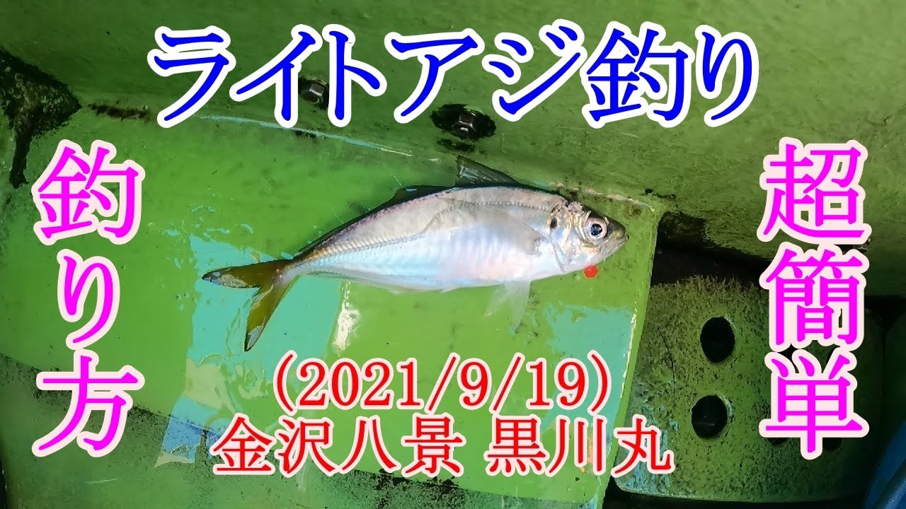 【神奈川県の金沢八景沖でライトアジ釣り】ビシ天秤仕掛けを使用したアジの釣り方を解説