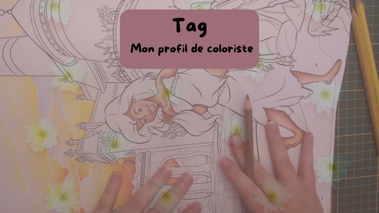 Tag #1 ~ Mon profil de coloriste de @lescolosdemaguie