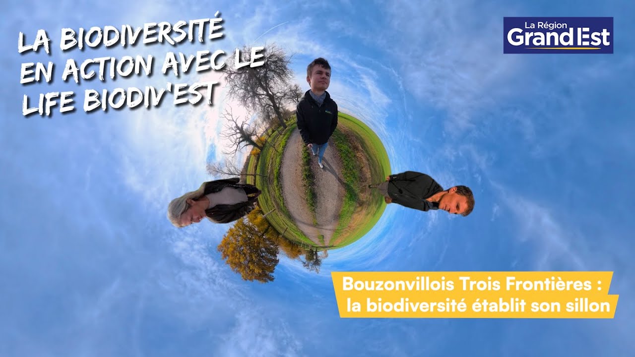 Bouzonvillois Trois Frontières : la biodiversité établit son sillon