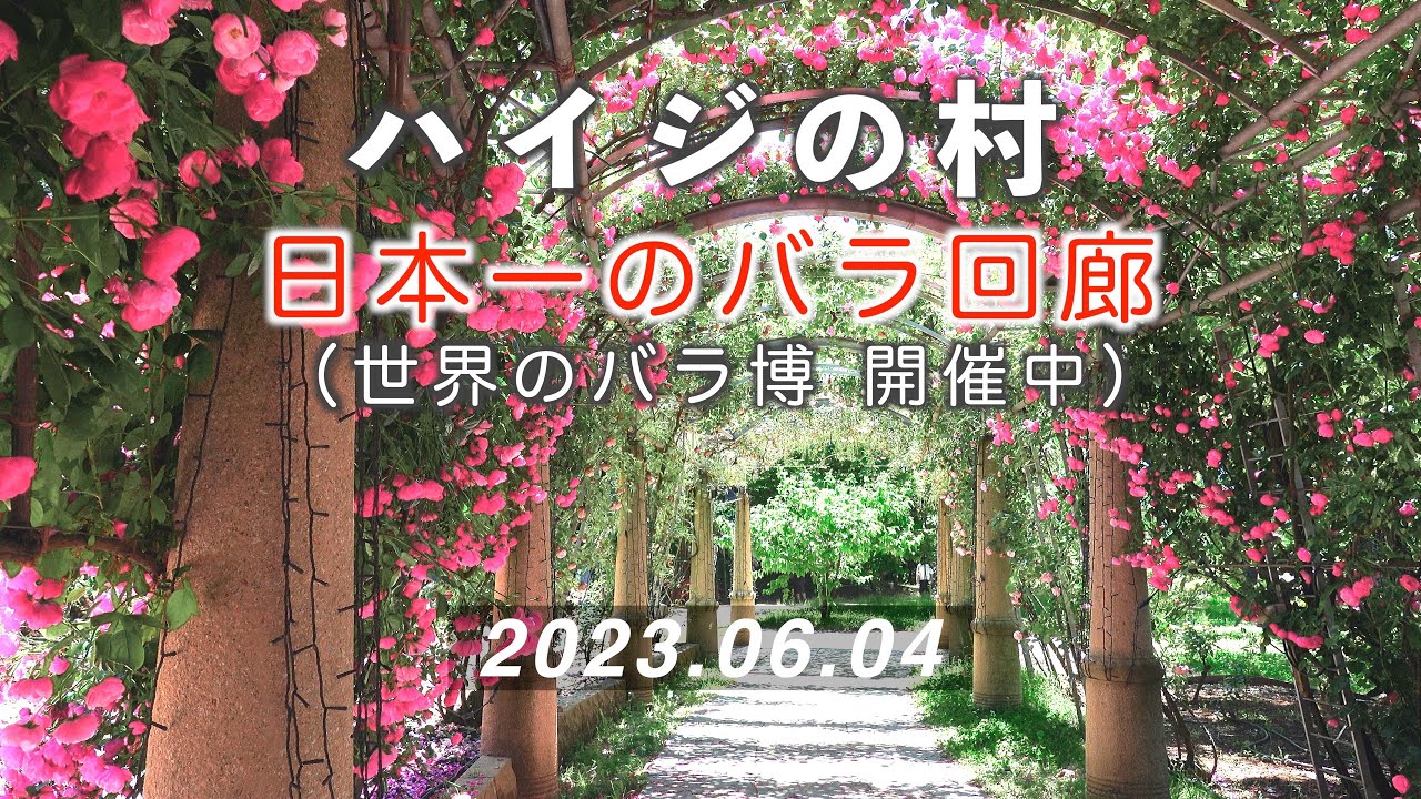 2023.06.04 日本一のバラ回廊 / ハイジの村（山梨県立フラワーセンター） [4K] #RoseGarden #Heidi'sVillage