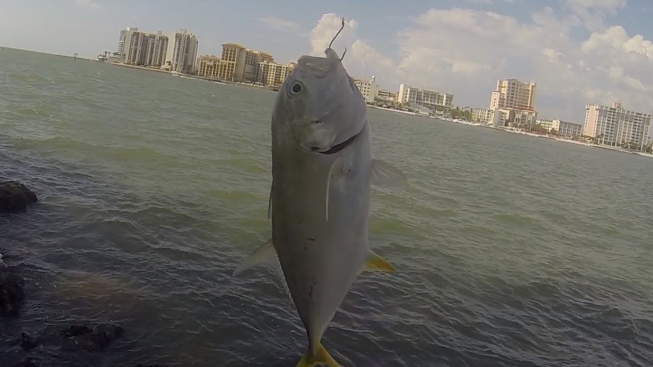 JETTY FISHING - SAND KEY , CLEARWATER,FL