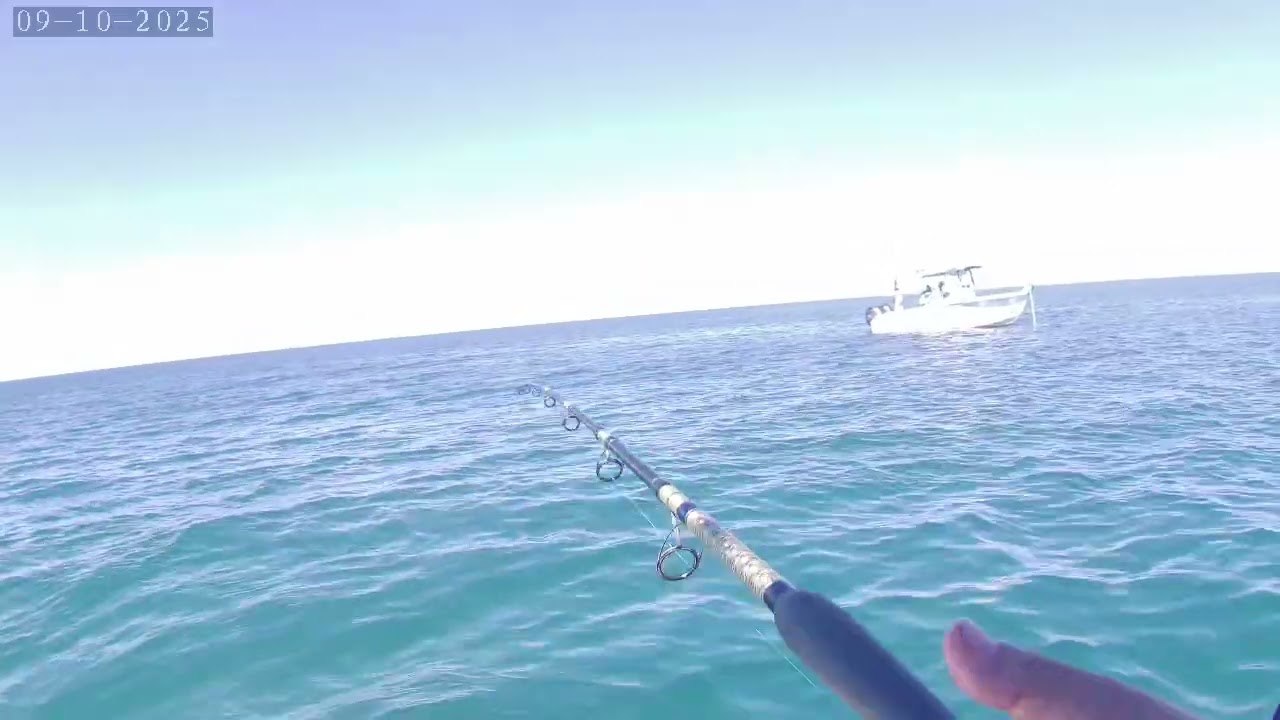 Book your trip with Capt. Jorge Erosa Sunset Charters. He'll put you on some fish. 