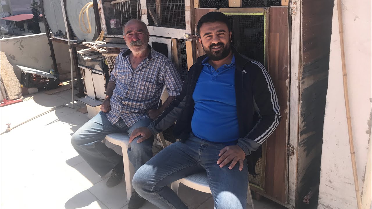 DÖNEK GÜVERCİNİ SOHBETİ CEMİL KUM NAMIDİĞER CEMO DAYI