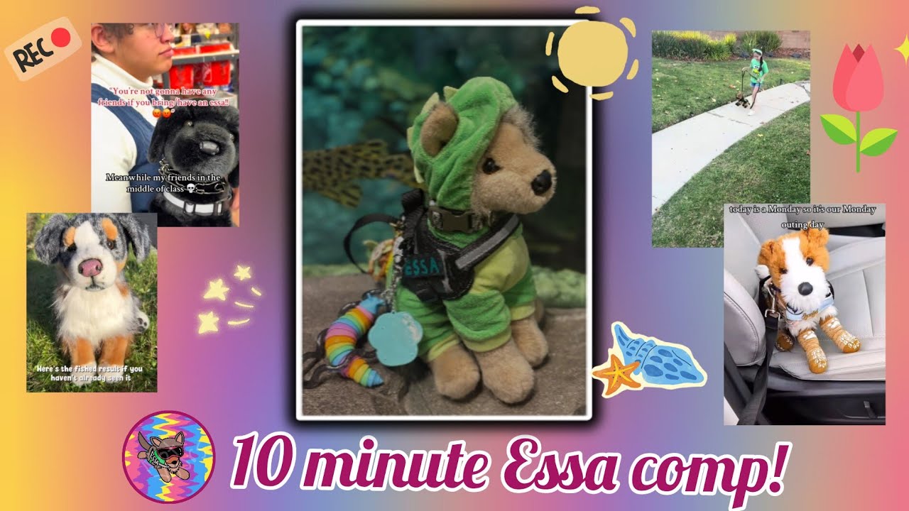 ESSA COMP! Because you're not allowed tiktok! 🐾