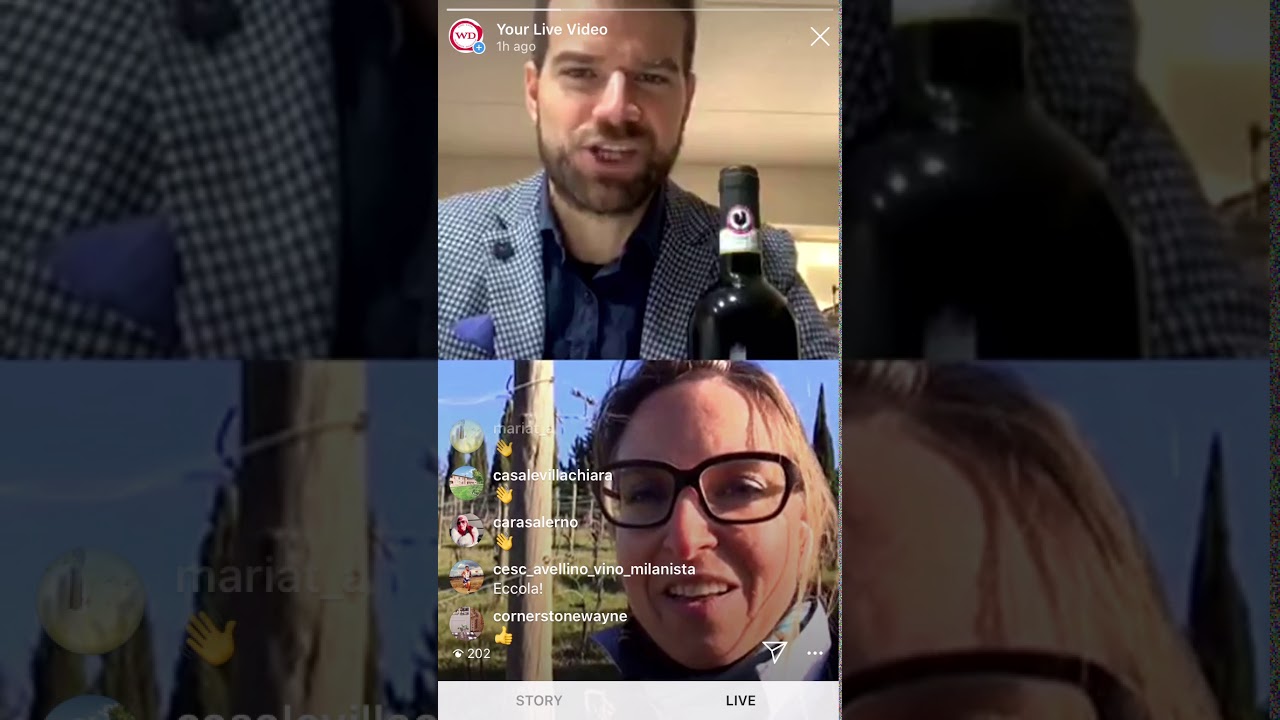 Castello di Volpaia Live Vineyard Tour!